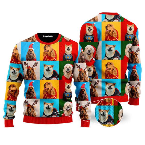 Winter Is Here Dog Ugly Christmas Sweater For Men & Women