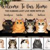 Custom Cat Doormat, Welcome Home Mat, Housewarming Gifts For Cat Lover