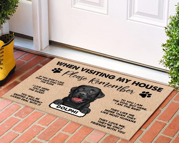 Personalized Dog Doormat, Custom Dog Welcome Mat, Gift For Dog Lovers