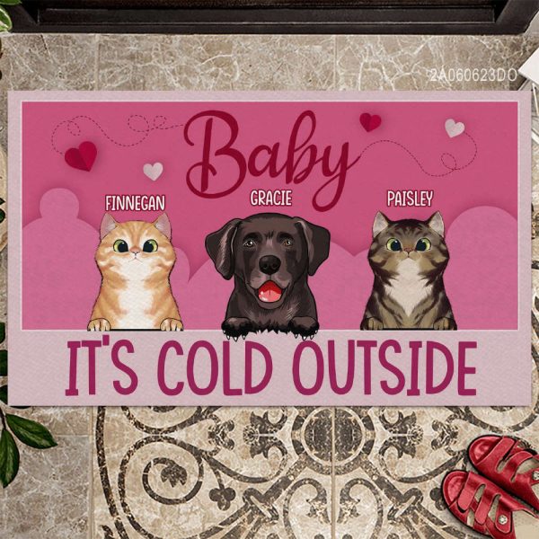 Baby It’s Cold Outside Personalized Pet Doormat, Welcome Home Mat, Pet Owner Gifts