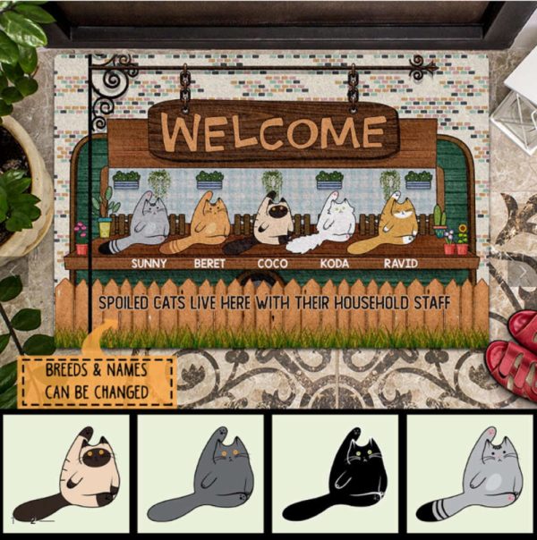 Spoiled Cats Lived Here With Their Household Staff Doormat, Gift For Cat Lovers