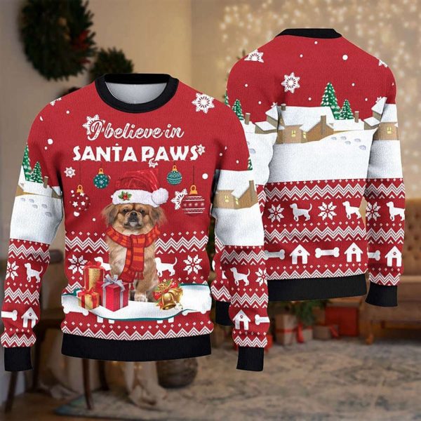I Believe in Santa Paws Ugly Christmas Sweater, Best Gift for Christmas