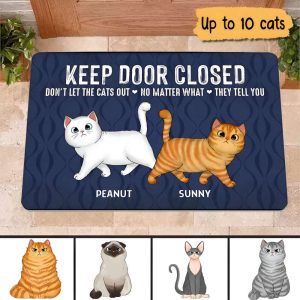 Keep Door Closed Walking Fluffy Cat…