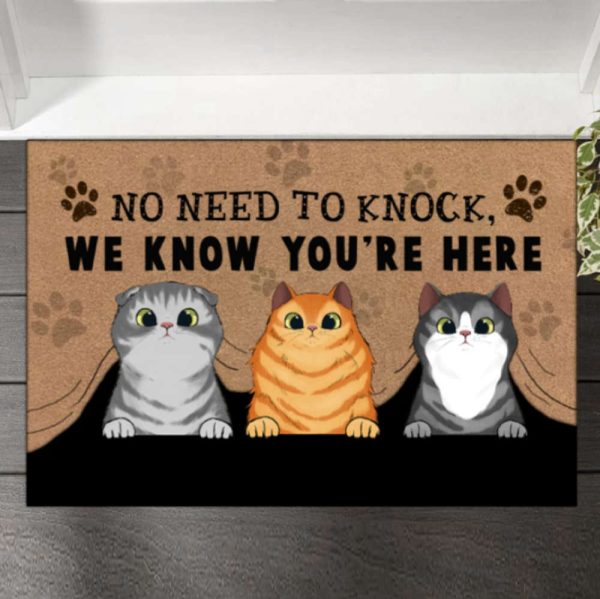 No Need To Knock We Know You Are Here Doormat, Housewarming Gift For Pet Lovers