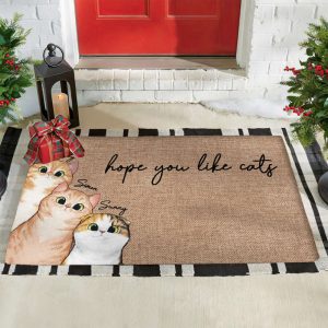 personalized cat doormat cat lover gift hope you like cats cat rug gift for pets pet doormat cat dad gift pet lover gift cat doormat 1.jpeg