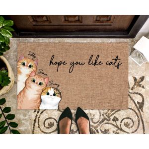 personalized cat doormat cat lover gift hope you like cats cat rug gift for pets pet doormat cat dad gift pet lover gift cat doormat 2.jpeg