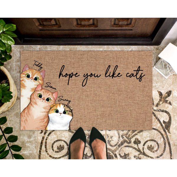 Personalized Cat Doormat, Cat Lover Gift, Hope You Like Cats, Gift For Pets