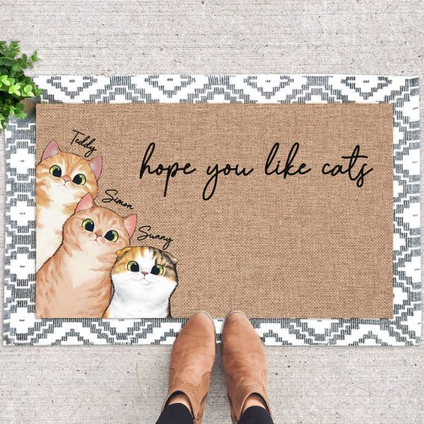 Personalized Cat Doormat, Cat Lover Gift, Hope You Like Cats, Gift For Pets