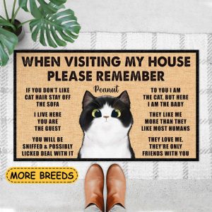 Personalized Cat Doormat, Cat Rug, Cat…