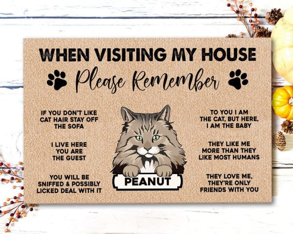 Cat Doormat, Personalized Cat Doormat, Custom Cat Welcome Mat, Cat Lover Gifts
