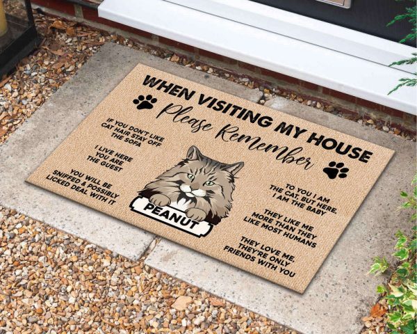Cat Doormat, Personalized Cat Doormat, Custom Cat Welcome Mat, Cat Lover Gifts