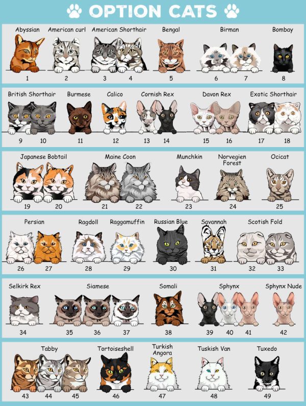Personalized Cat Doormat With Owner’s Names, Custom Cat Doormat For Cat Lover