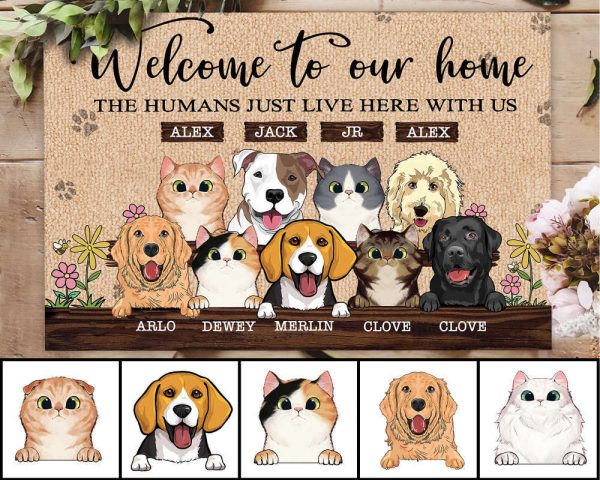 Personalized Dog Cat Doormat, Welcome To Our Home Doormat, For Pet Lover Gift