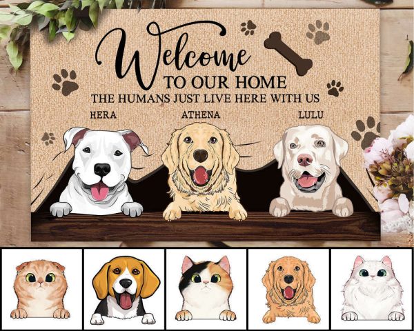 Personalized Dog Doormat, Funny Welcome Home Mat, Dog Mat, For Dog Lovers Gift