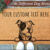 Personalized Dog Doormat, Welcome Mat, Custom Text Doormat, Gift For Dog Mom