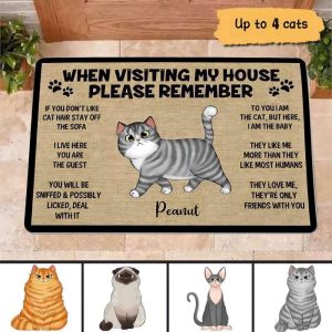 Please Remember When Visiting Cats House…