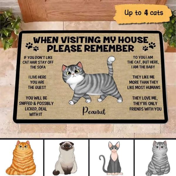 Please Remember When Visiting Cats House Personalized Doormat For Cat Lovers