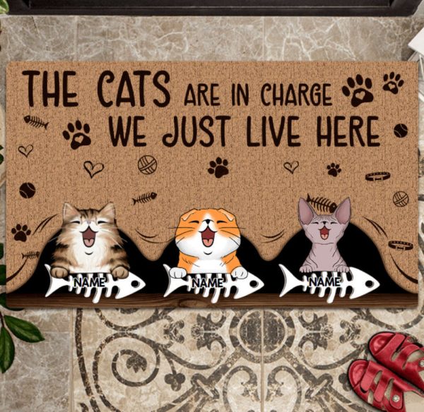The Cat Is In Charge We Just Live Here Personalized Cat Doormat, Gift For Cat Lovers