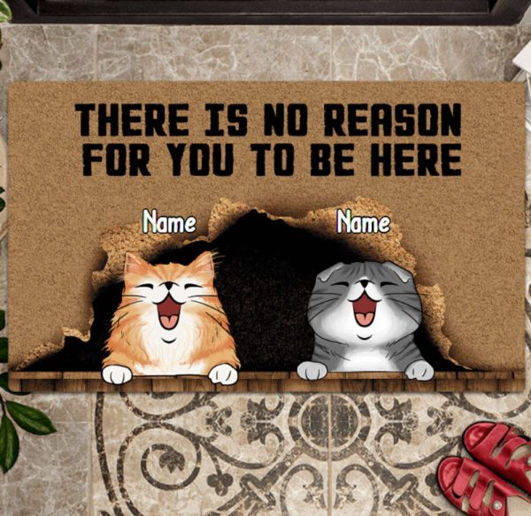 There Is No Reason For You To Be Here Personalized Cat Doormat, Gift For Cat Lovers