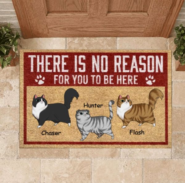 There Is No Reason For You To Be Here Personalized Cat Doormat, For Pet Lovers