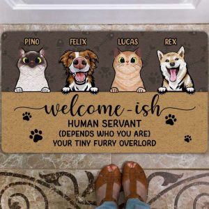 welcome ish human servant personalized pet doormat cute custom cat doormat dog cat doormat dog funny rug for dog lovers for cat lovers 1.jpeg