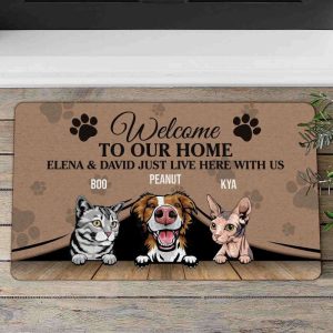 welcome to our home the human just live here with us dog cat doormat personalized pet doormat cute funny rug for dog lovers for cat lovers 2.jpeg