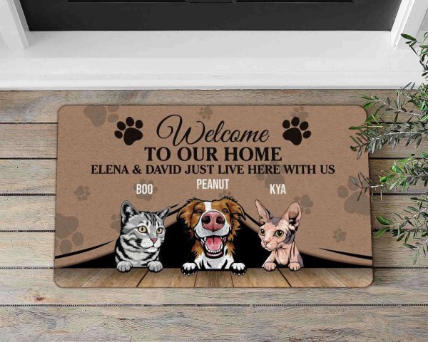 Welcome To Our Home The Human Just Live Here With Us Dog & Cat Doormat, For Cat Lovers