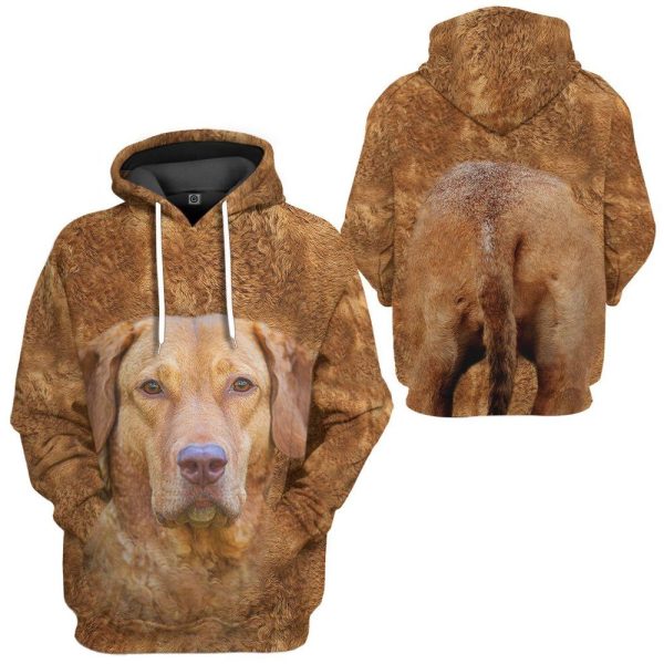 Chesapeake Bay Retriever Dog Front And Back Hoodie, For Men And Women