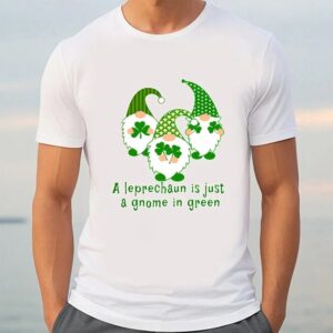 St Patricks Day T Shirt A Leprechaun Is Just A Gnome In Green Cute St Patricks Day T shirt Funny St Patricks Day Shirts 3 wgei7m.jpg