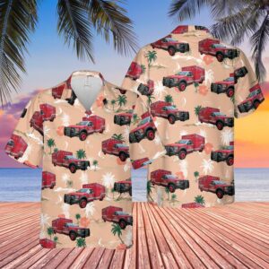 Texas Hawaiian Shirt, Texas City of…