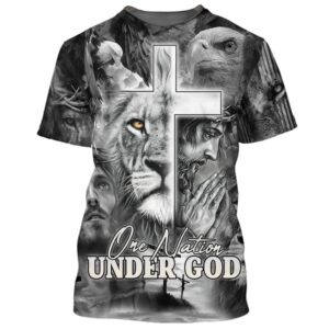 Jesus Prayer Lion And Eagle 3D T Shirt Christian T Shirt Jesus Tshirt Designs Jesus Christ Shirt 3 rccb0r.jpg