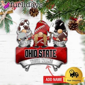 NCAA Ohio State Buckeyes Custom Gnome…