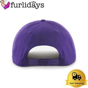 NFL Minnesota Vikings Logo Team Embroidered Cap