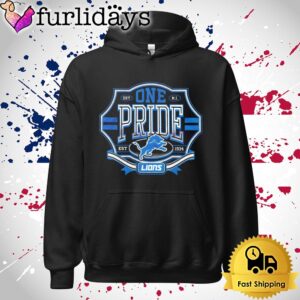 One Pride Detroit Lions Est 1934 Logo T Shirt